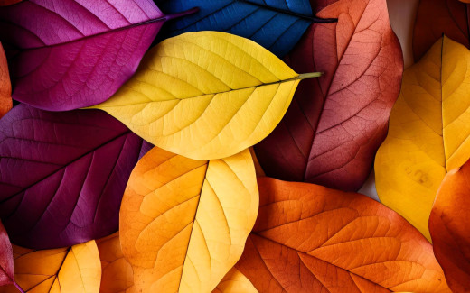 1754130 (a): :1920x1200